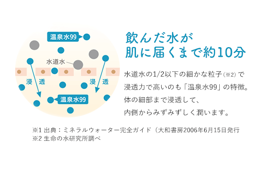 飲んだ水が肌に届くまで約10分