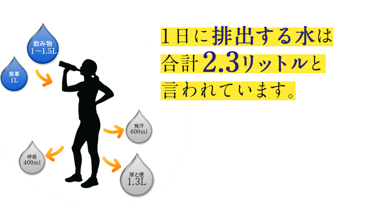 一日に排出する水は合計2.3リットルと言われています